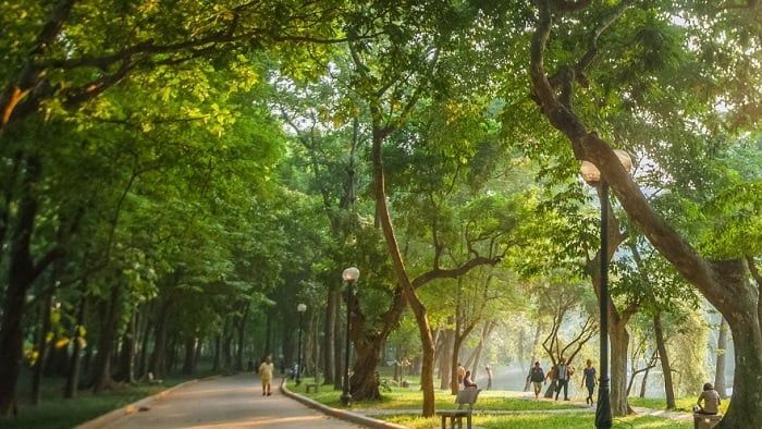 Công Viên Bách Thảo – Một Điểm Đến Lý Tưởng Cho Mọi Du Khách