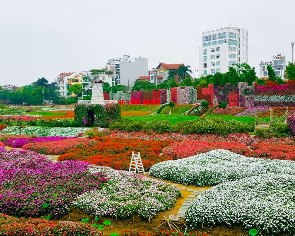 Thung Lũng Hoa Hồ Tây – Địa Điểm Du Lịch Tuyệt Vời Tại Hà Nội