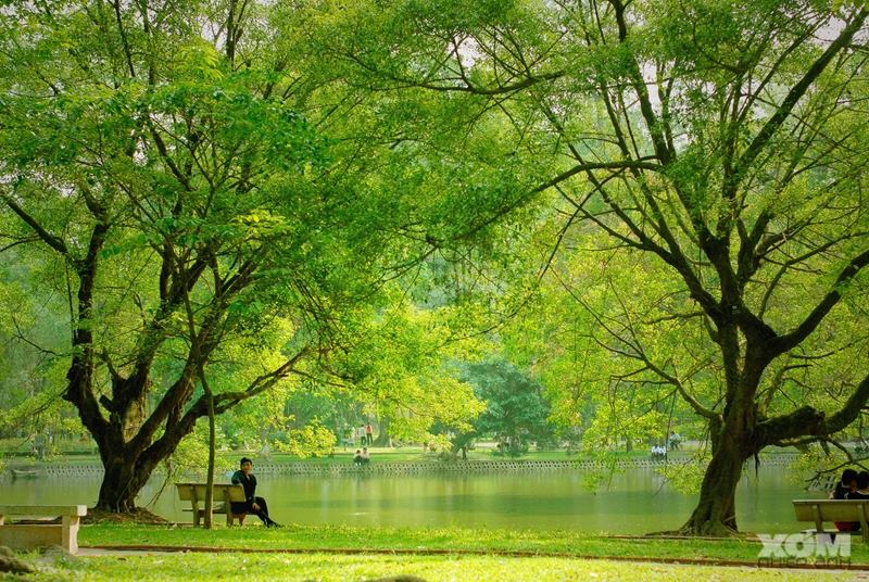 Công Viên Bách Thảo – Một Điểm Đến Lý Tưởng Cho Mọi Du Khách
