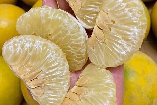 Đặc Sản Bưởi Diễn – Hương Vị Ngọt Ngào, Nổi Tiếng Của Hà Nội