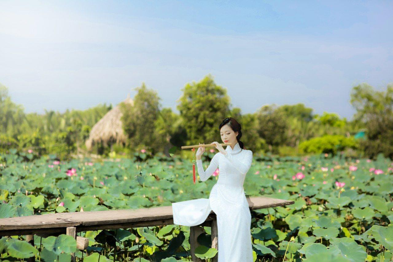 Đầm Sen Tây Hồ – Điểm Du Lịch Đẹp Lý Tưởng Cho Mọi Du Khách
