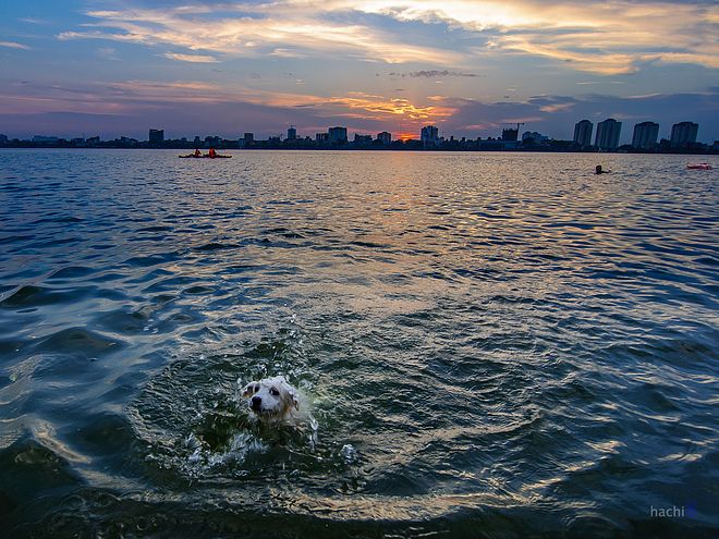Hồ Tây Sunset Spot &#8211; Điểm Ngắm Hoàng Hôn Tuyệt Vời Tại Hà Nội