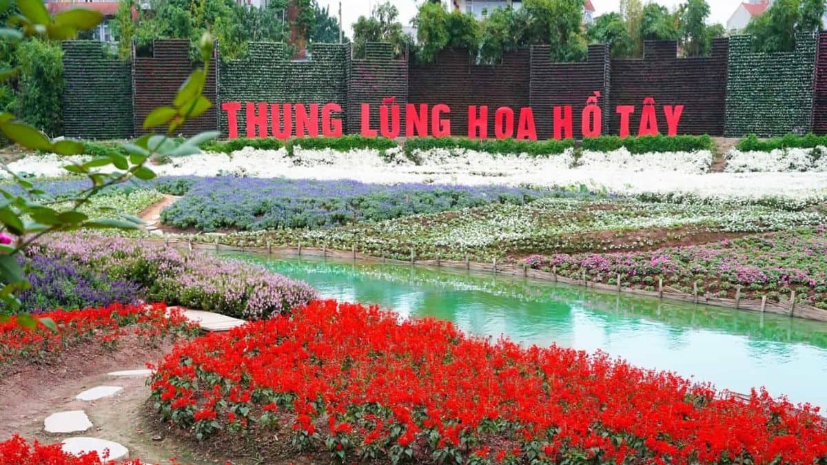 Thung Lũng Hoa Hồ Tây &#8211; Địa Điểm Du Lịch Tuyệt Vời Tại Hà Nội