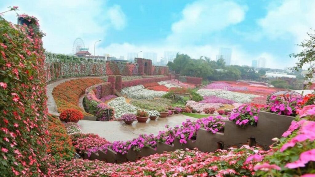 Thung Lũng Hoa Hồ Tây &#8211; Địa Điểm Du Lịch Tuyệt Vời Tại Hà Nội