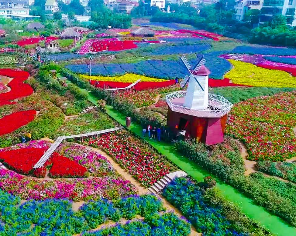 Thung Lũng Hoa Hồ Tây &#8211; Địa Điểm Du Lịch Tuyệt Vời Tại Hà Nội